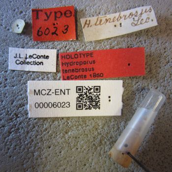 Media type: image;   Entomology 6023 Aspect: labels